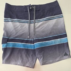 Trinity Swim Shorts Gray Blue Stripes Mens Size 36